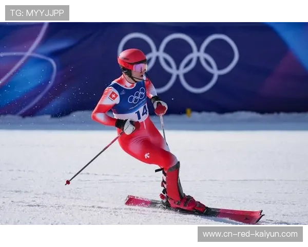 2019滑雪登山世界杯（世界滑冰锦标赛2019男子冠军）sports